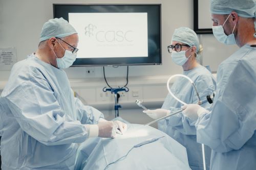 CASC practical